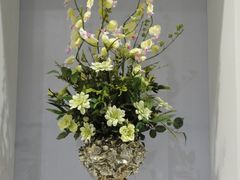 -荷兰布尔玛国际花艺学院