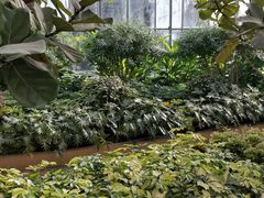 -南宫五洲植物乐园