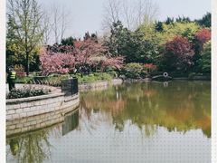 -嘉定紫藤园