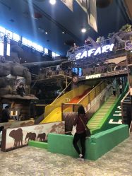 -卡通尼·Safari非洲探索乐园·生日会(金桥国际商业广场店)
