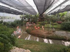 -无锡动物园·太湖欢乐园