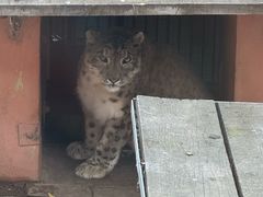 -青藏高原野生动物园