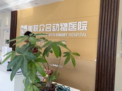 -德元·美联众合24小时动物医院(总院)