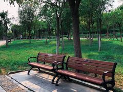 -天津东丽湖风景区