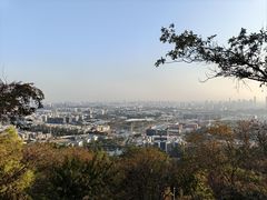-火炉山森林公园