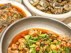 -辣四方新派川菜