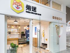 门面-柴迷FANS CLUB·柴犬狗咖·猫咖