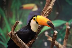 -Zoolung Zoolung动物主题公园(海信广场店)