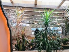 -多哥水傣味餐厅(司马巷店)