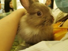 -龙猫仔乐园(惠福东路店)