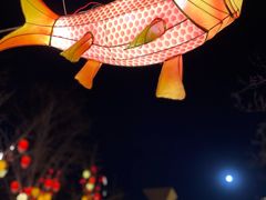-龙湖星悦荟(颐和店)