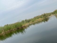 -白洋淀风景区