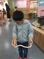 -Moni星球萌宠·小马宝莉·灵蛇·高端高阶全萌宠互动体验俱乐部(红豆国际广场店)