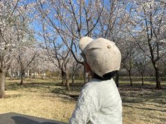 -济南植物园
