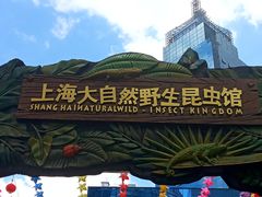 -上海大自然野生昆虫馆(东方明珠·爬宠昆虫探索中心)