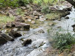 -广州白江湖森林公园