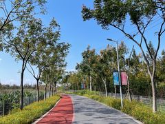 -上海长兴岛郊野公园