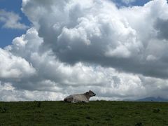 -新疆那拉提国家旅游度假区