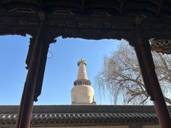 -张掖大佛寺景区