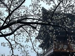 -径山寺
