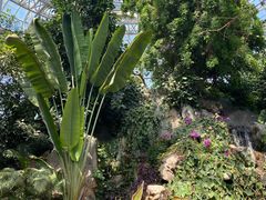 -郑州植物园