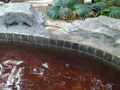 -龙达温泉生态城
