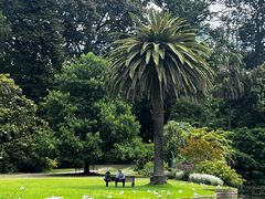 -墨尔本皇家植物园