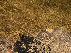 -碓臼峪自然风景区