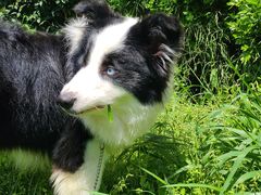 -第六空间国际家居(旺墩路店)