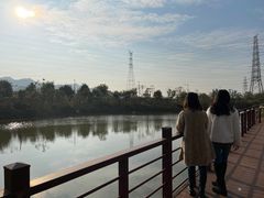 -美的鹭湖探索王国