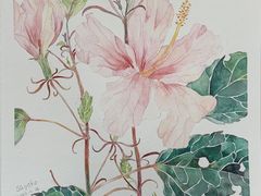 -六出私塾LiuChu•成人美术书法系统课程专业画室(熊婆婆的花园店)