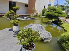 -雅苑中餐厅