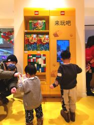 -乐高授权专卖店(朝阳大悦城店)