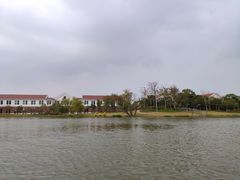 -上海长兴岛郊野公园