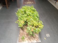 -阿伟海鲜楼·福建菜(涵江店)