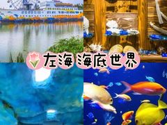 -左海海底世界