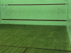 -健身专家Wellness Experts