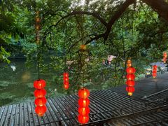 -侨美·唐荔园·40年地道粤菜