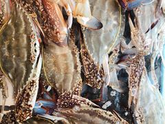 -合家小菜餐馆(新诚花苑店)