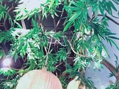 -芜湖方特东方神画