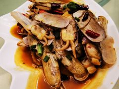蛏子-华盛丰温州大排档(东三环南路店)