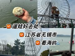 -蠡湖大桥公园