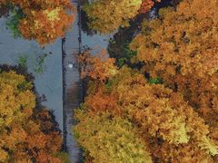 -桤木河湿地公园