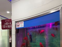 -雅悦齿科(顾村公园店)