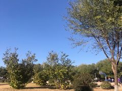 -太阳宫公园