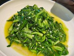 -庭院居(华盛达时代中心店)
