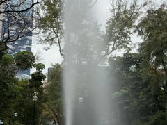 -九龙公园