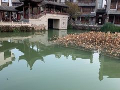 -龙潭水乡