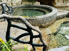 -海口观澜湖火山温泉谷