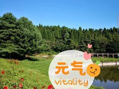 -武陵山森林公园